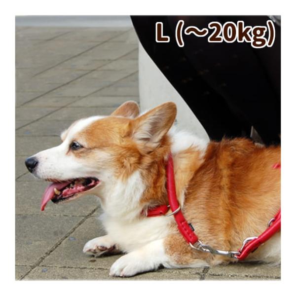 犬 首輪 革 レザー ASHU ソフトレザー チョークカラー Lサイズ 中型犬 大型犬 チョーク