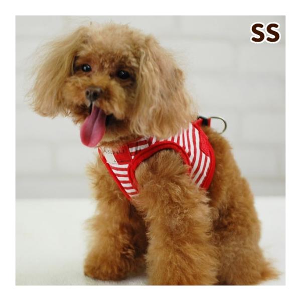 犬 ハーネス ASHU ウェアハーネス ボーダー SSサイズ