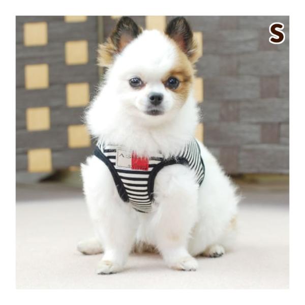 犬 ハーネス ASHU ウェアハーネス ボーダー Sサイズ 犬 ハーネス