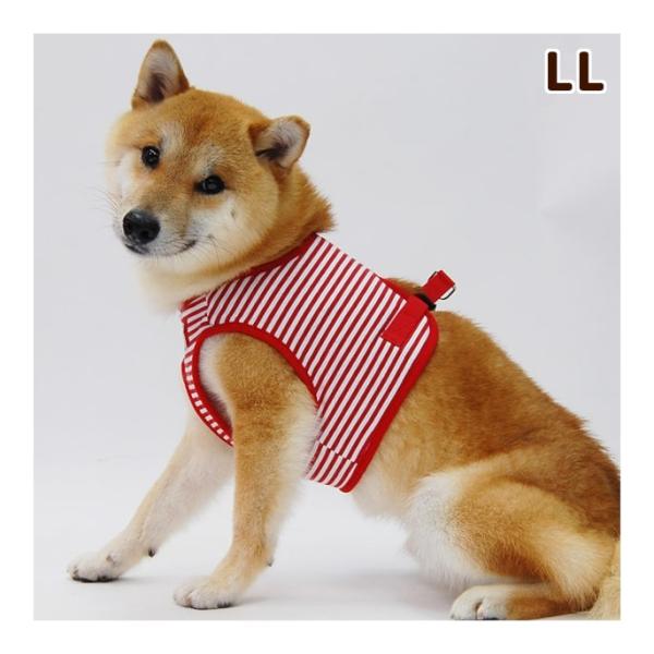犬 ハーネス ASHU ウェアハーネス ボーダー LLサイズ
