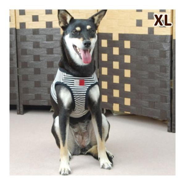 犬 ハーネス ASHU ウェアハーネス ボーダー XLサイズ 中型犬