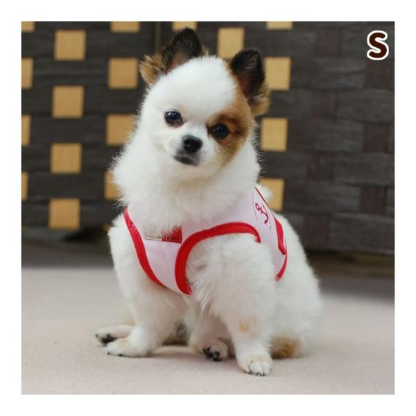 犬 ハーネス ASHU クールウェアハーネス Sサイズ