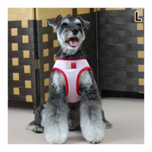 犬 ハーネス ASHU クールウェアハーネス Lサイズ