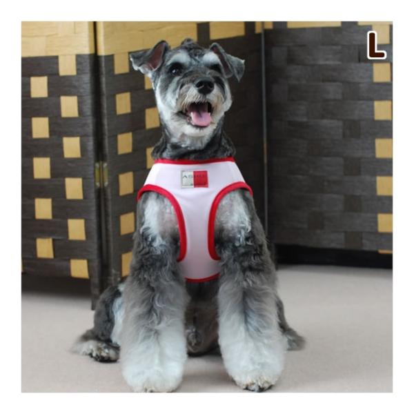犬 ハーネス ASHU クールウェアハーネス Lサイズ