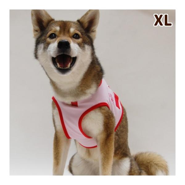 犬 ハーネス ASHU クールウェアハーネス XLサイズ