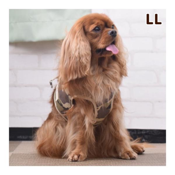 犬 ハーネス ASHU ウェアハーネス　迷彩 LLサイズ