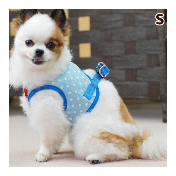 ASHUウェアハーネス 水玉 Sサイズ 小型犬用