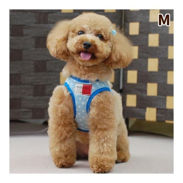 ASHUウェアハーネス 水玉 Mサイズ 小型犬用