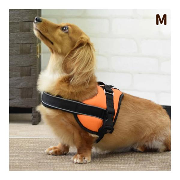 中型犬用ハーネス｜首に優しいクッションハーネス　サイズM