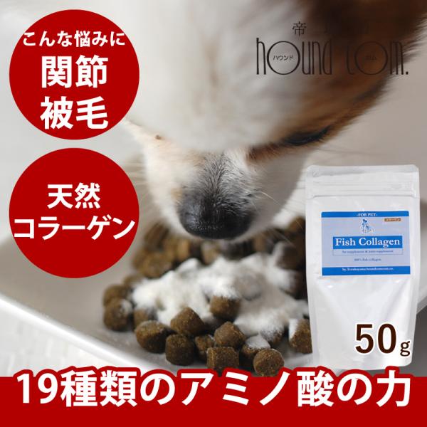 犬 関節 にフィッシュコラーゲン 50g 犬 サプリメント