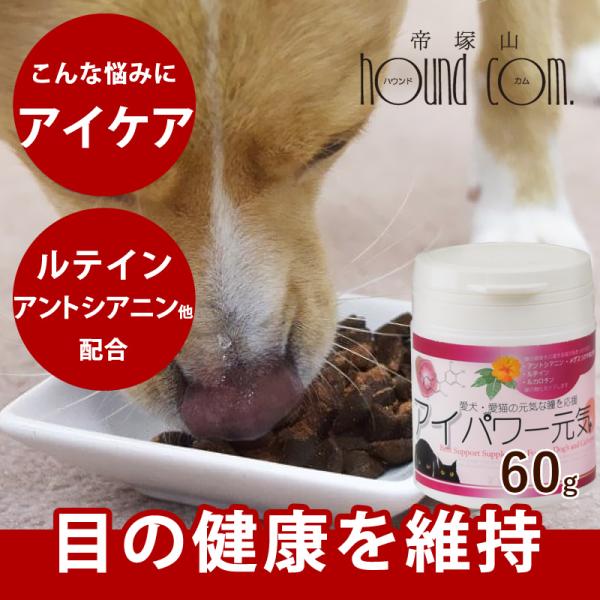 目の健康サポート アイパワー元気 犬猫用 60ga0296