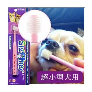 犬 歯磨き ペット歯ブラシ シグワン 超小型犬用 ビバテック