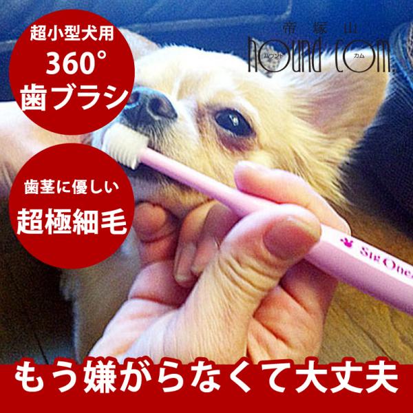 犬 歯磨き ペット歯ブラシ シグワン 超小型犬用 ビバテック
