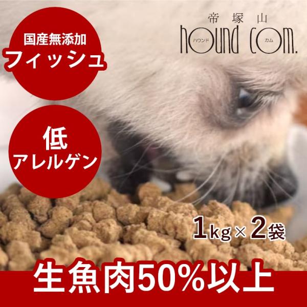 国産ドッグフード ドライフード 無添加 国産 ホリスティッククッキング フィッシュ 2kg 犬 子犬...