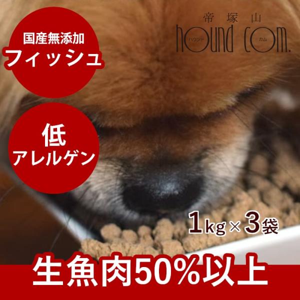 国産ドッグフード ドライフード 無添加 国産 ホリスティッククッキング フィッシュ 3kg 犬 子犬...