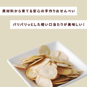 犬 おやつ 無添加 安心 国産 魚 ご褒美 じ...の詳細画像1
