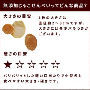 犬 おやつ 無添加 安心 国産 魚 ご褒美 じ...の詳細画像2