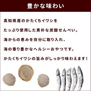 犬 おやつ 無添加 安心 国産 魚 ご褒美 じ...の詳細画像3