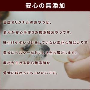 犬 おやつ 無添加 安心 国産 魚 ご褒美 じ...の詳細画像4