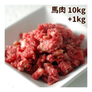 犬 生肉 馬肉 粗挽き 10kg 500gパック×20＋2 1kgのおまけ付きの商品画像