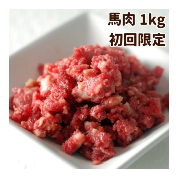 初回 送料無料 犬 生肉 新鮮 馬肉ミンチ 小分けトレー 1kg スタータ