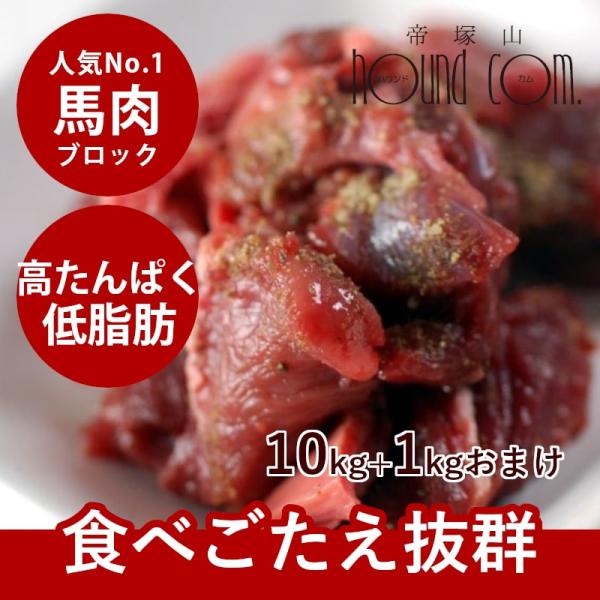 犬 猫 ペット 用 生肉 冷凍 馬肉 ブロック 10kg  500g×20＋2  1kgのおまけ付き