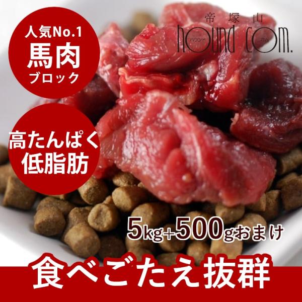 犬 猫 ペット 用 生肉 冷凍 馬肉 ブロック 5kg  500g×10＋1  500gのおまけ付き