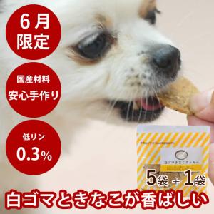 VOICE（ヴォイス） ドッグヴォイス ドッグフード 小型犬 400g シニア