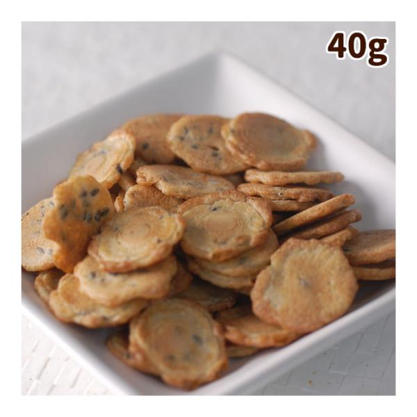 クーポン配布中 犬 おやつ 無添加 安心 国産 黒ゴマサブレ