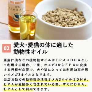 オメガ3 脂肪酸 皮膚 被毛 関節 健康維持 ...の詳細画像2