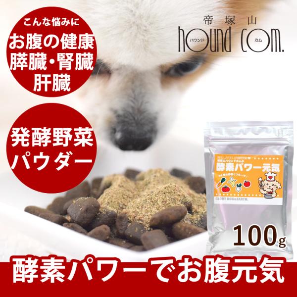 犬用 手作り食材 酵素パワー元気 100g 発酵野菜 低リン 発酵食品