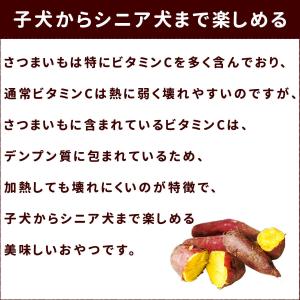 犬 おやつ 無添加 手作り 低脂肪 安心 国産...の詳細画像3