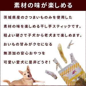 犬 おやつ 無添加 手作り 低脂肪 安心 国産...の詳細画像4