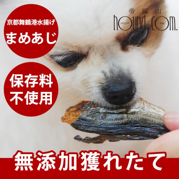 犬 猫 おやつ 安心 お魚獲れたて まるごとまめあじ 鯵