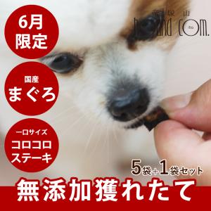 6月限定 犬 猫 おやつ 無添加獲れたて まぐろコロコロステーキ 5袋セット+1