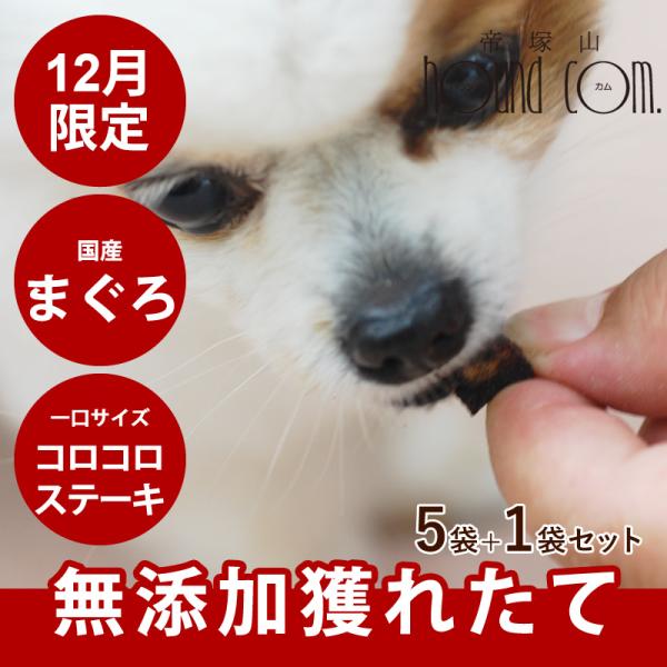 クーポン配布中 お得 セール 6月限定 犬 猫 おやつ 無添加獲れたて まぐろコロコロステーキ 5袋...