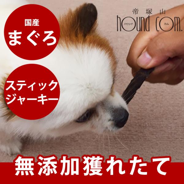 犬 猫 おやつ 安心 魚 無添加獲れたて まぐろスティック