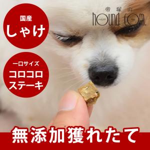 犬 猫 おやつ 安心 安全 国産 魚 無添加 獲れたて しゃけコロコロステーキ