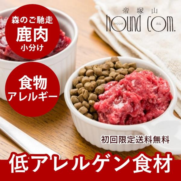 初回 送料無料 犬用 生肉 エゾ鹿生肉 小分けパック 500g スターター