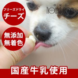 D+pets ディーペッツ Oral Force1 10g×10包 犬用 口腔環境 おやつ 歯周