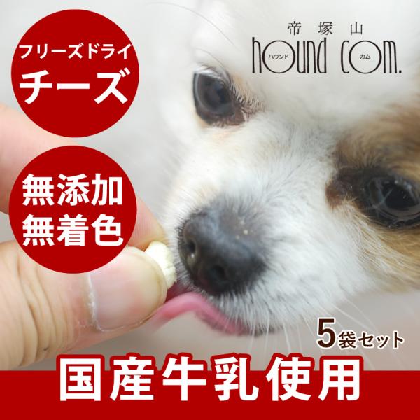 犬 おやつ チーズ 無添加 安心 国産 フリーズドライ チーズ（ 5袋セット ）