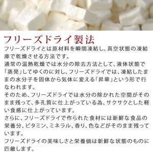 犬 おやつ フリーズドライ 豆腐の詳細画像3