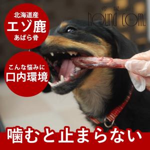 犬 はみがき 歯みがき エゾ鹿肉 あばら骨 1袋