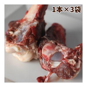 犬 生肉 エゾ鹿肉 ゲン骨 1本×3袋セット