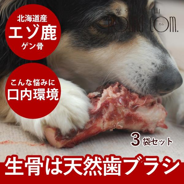 犬 生肉 エゾ鹿肉 ゲン骨 1本×3袋セット