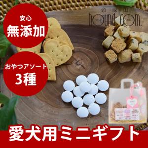 犬 おやつ ギフトの商品一覧 通販 Yahoo ショッピング