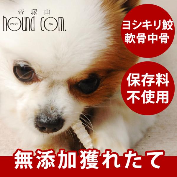 犬 猫 おやつ 安心 サメ 無添加獲れたて ヨシキリ鮫軟骨中骨 40g