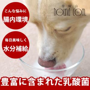 犬と猫のためのヨーグルト 飲料  腸まで届く乳酸菌