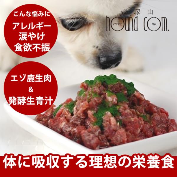 殺菌なし特別製法の青汁と生エゾ鹿肉のセット