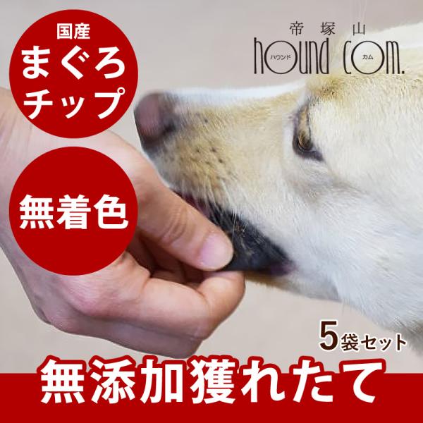 犬 猫 おやつ 安心 魚 無添加 獲れたて まぐろチップ（ 5袋セット ）